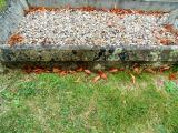 image of grave number 583146